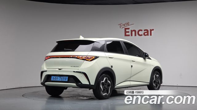 BYD Dolphin Base - фото 0