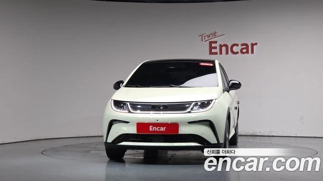 BYD Dolphin Base - фото 1