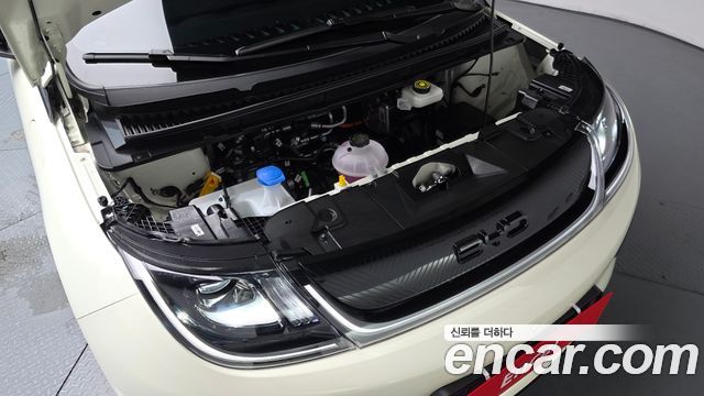 BYD Dolphin Base - фото 4