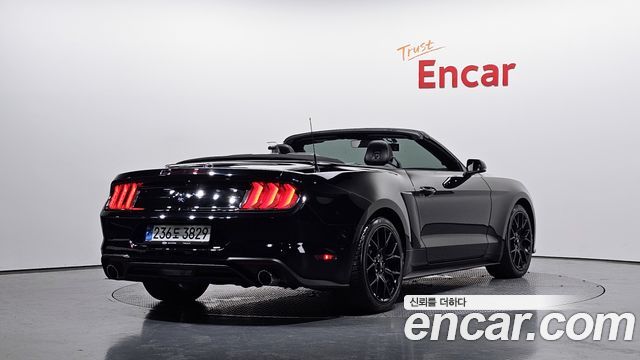 Ford Mustang Convertible - фото 0