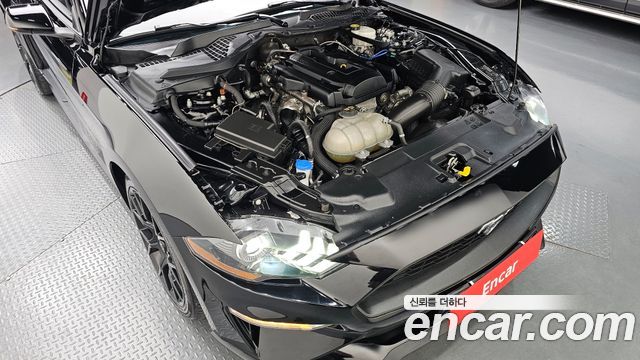 Ford Mustang Convertible - фото 4