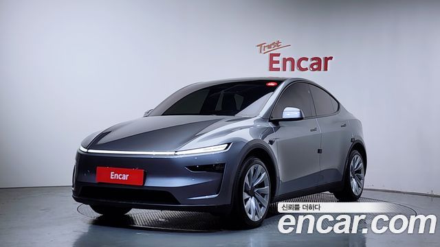 Tesla Model Y Long Range Launch Edition AWD - фото 0