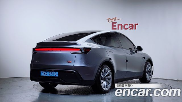 Tesla Model Y Long Range Launch Edition AWD - фото 1