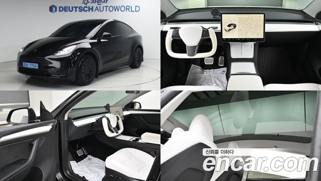 Tesla Model Y RWD - фото 0
