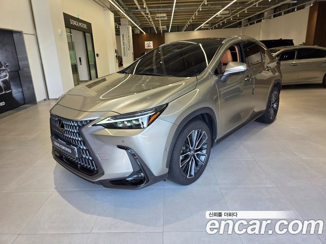 Lexus NX 2-го поколения Luxury - фото 0