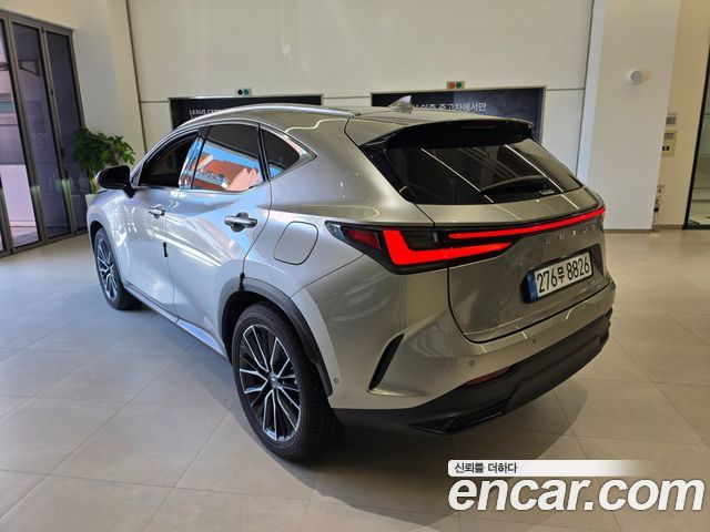 Lexus NX 2-го поколения Luxury - фото 1