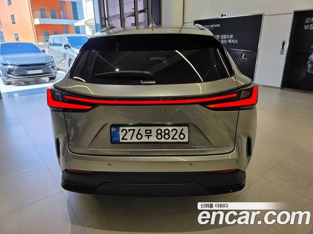 Lexus NX 2-го поколения Luxury - фото 3