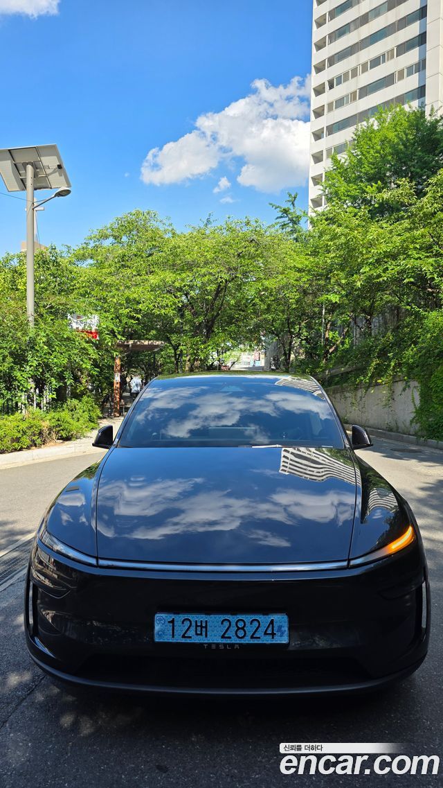 Tesla Model Y Premium Long Range AWD - фото 2