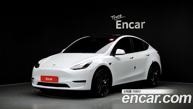 Tesla Model Y Performance AWD - фото 0