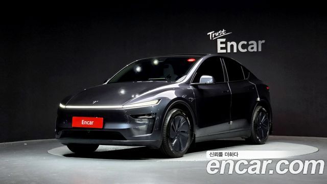 Tesla Model Y Long Range AWD - фото 0