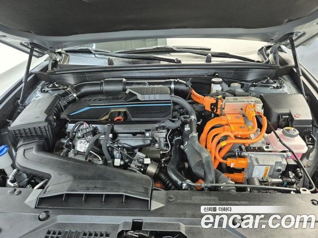 Kia K8 2.5 Gasoline 2WD Noblesse - фото 4