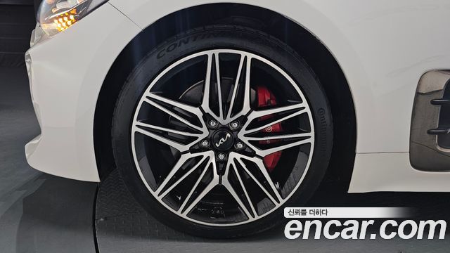 Kia Stinger 2.5 Masters - фото 3