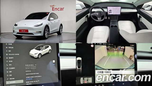 Tesla Model Y Long Range AWD - фото 0