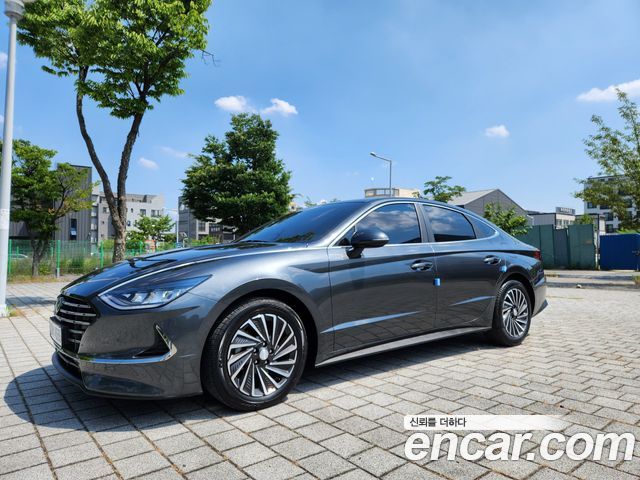 Hyundai Sonata DN8, гибрид Premium Plus - фото 1
