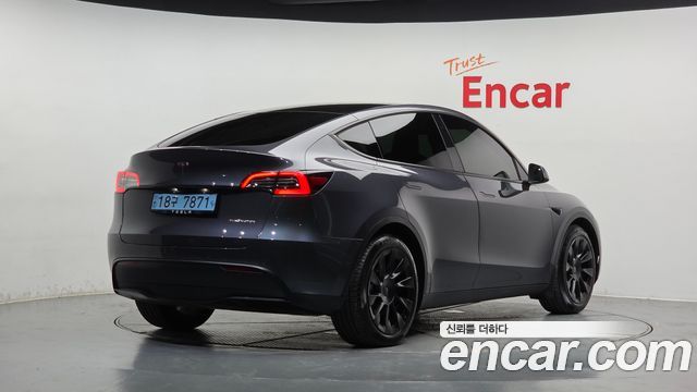 Tesla Model Y Long Range AWD - фото 0