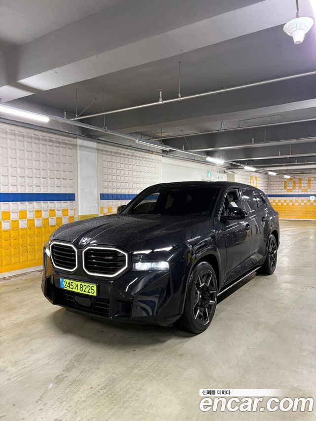 BMW XM G09 4.4 - фото 2