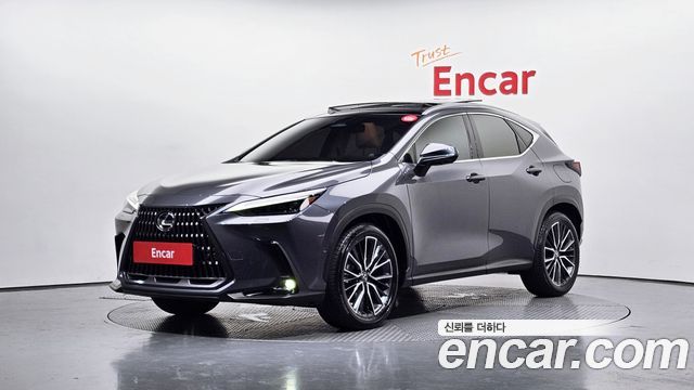 Lexus NX 2-го поколения Luxury - фото 0