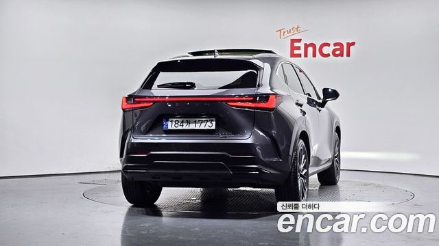 Lexus NX 2-го поколения Luxury - фото 3