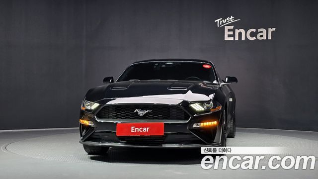 Ford Mustang Coupe - фото 2