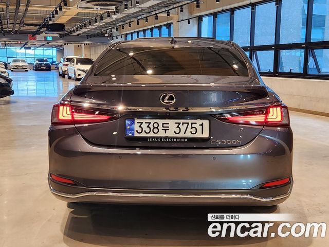 Lexus ES 7-го поколения Executive - фото 3