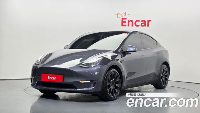 Tesla Model Y Long Range AWD - фото 0