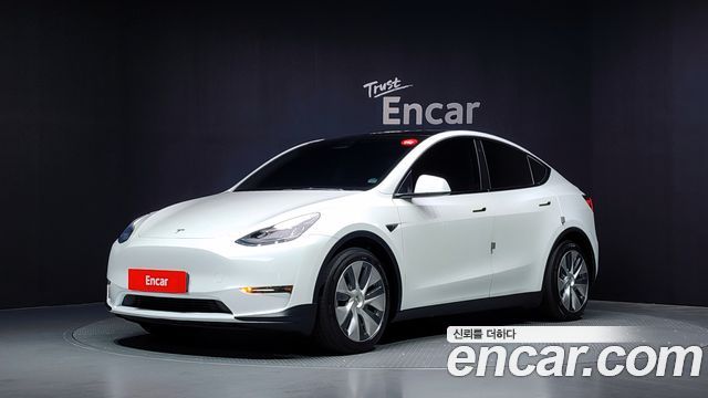 Tesla Model Y Long Range AWD - фото 0