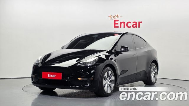 Tesla Model Y Long Range AWD - фото 0