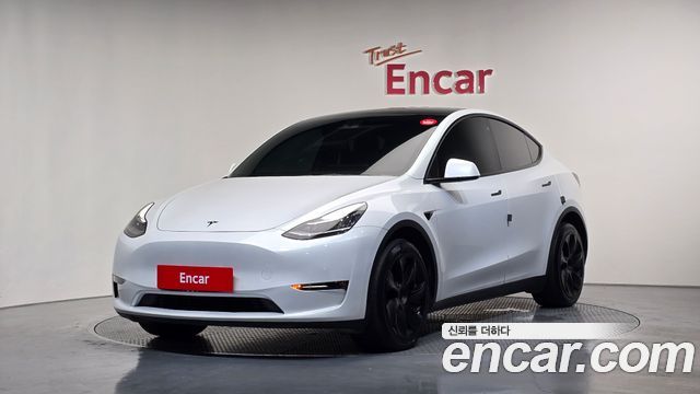 Tesla Model Y Long Range AWD - фото 0