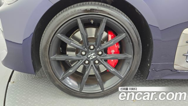 Kia Stinger 2.0 Turbo 2WD Platinum - фото 4