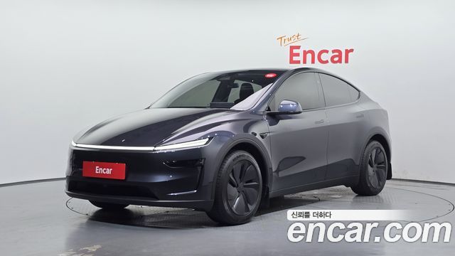 Tesla Model Y Long Range AWD - фото 0