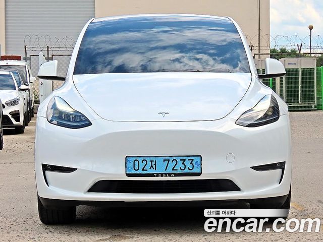 Tesla Model Y Long Range AWD - фото 0