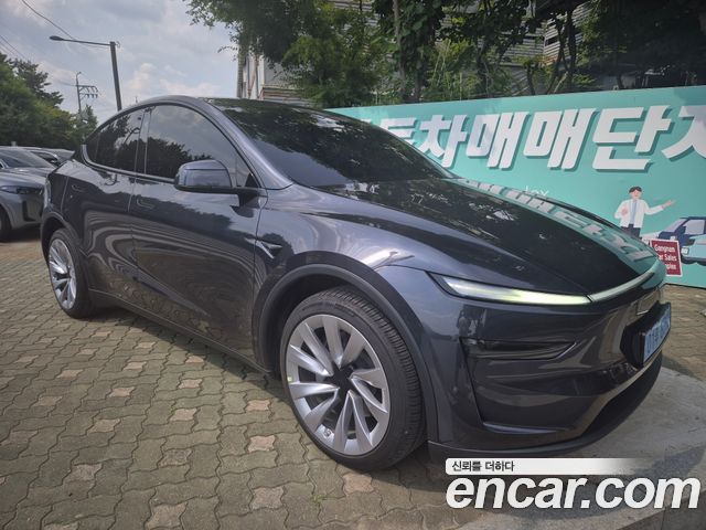 Tesla Model Y Long Range AWD - фото 0