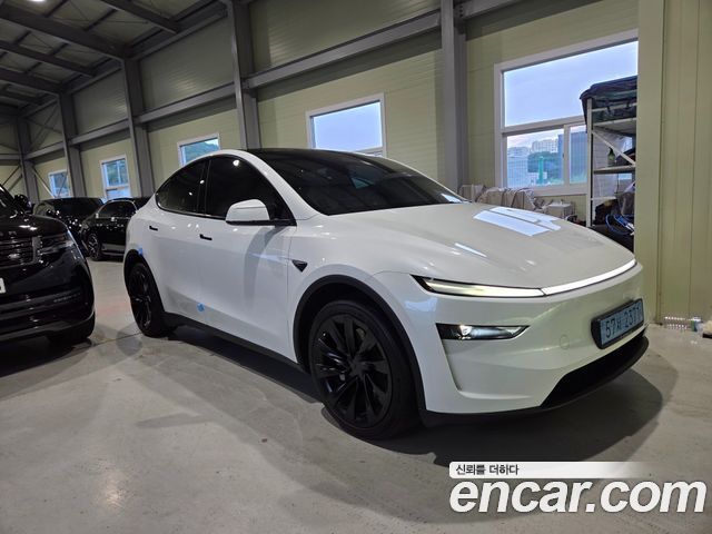 Tesla Model Y Long Range AWD - фото 0