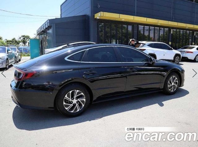 Hyundai Sonata DN8, гибрид Modern - фото 2