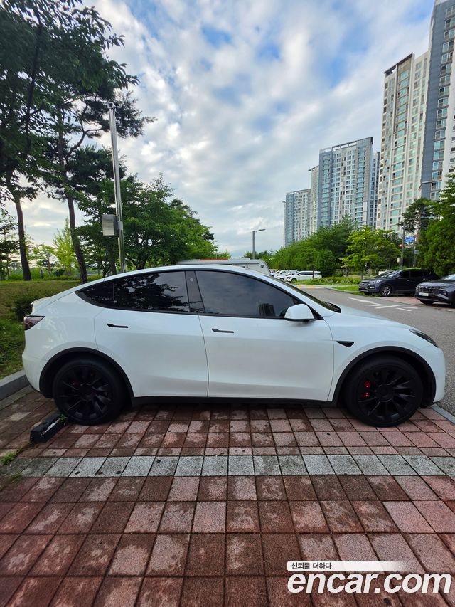 Tesla Model Y Long Range AWD - фото 0