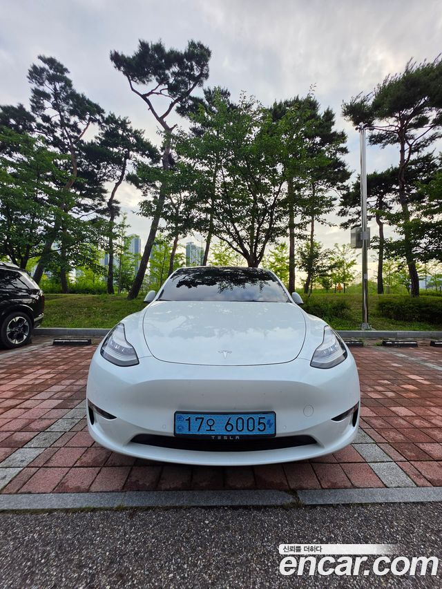Tesla Model Y Long Range AWD - фото 2