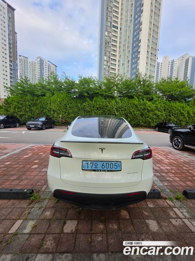 Tesla Model Y Long Range AWD - фото 3