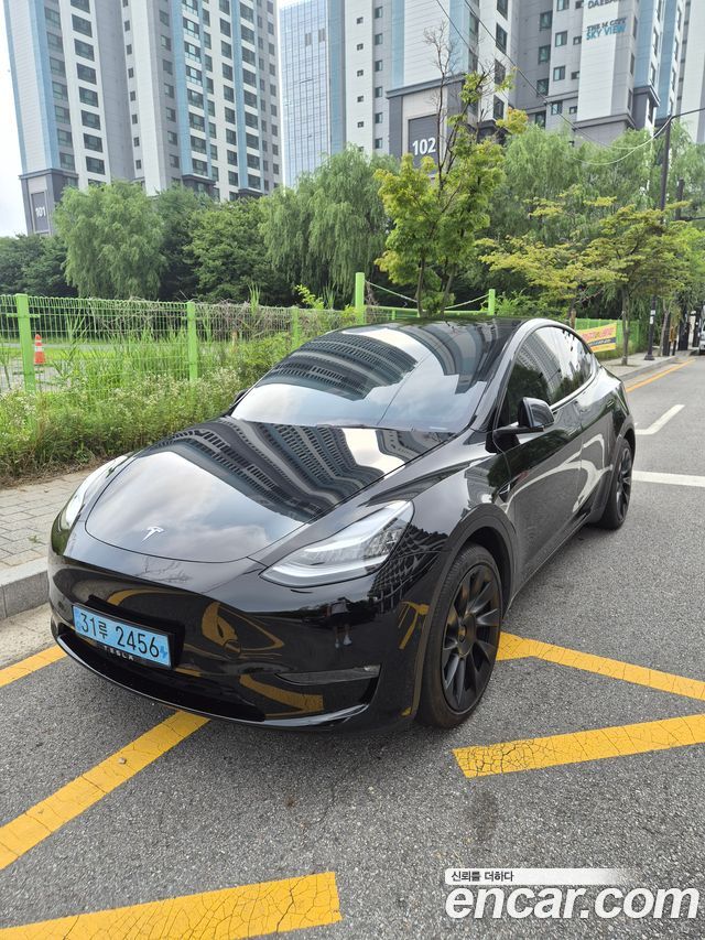 Tesla Model Y Long Range AWD - фото 0