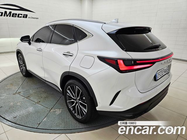 Lexus NX 350h 2-го поколения Luxury - фото 3