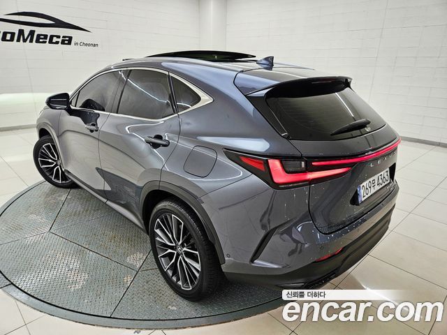 Lexus NX 350h 2-го поколения Luxury - фото 3