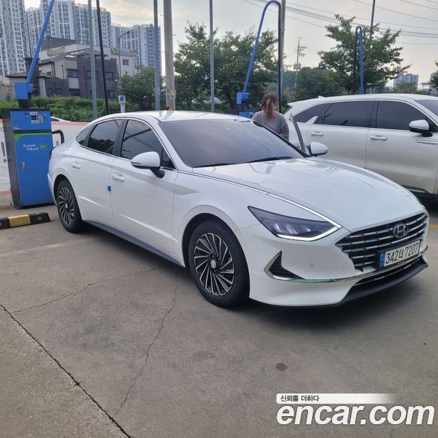 Hyundai Sonata DN8, гибрид Premium Plus - фото 1
