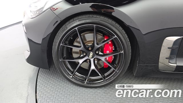 Kia Stinger 2.0 Turbo AWD Platinum - фото 4