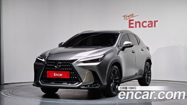 Lexus NX 2-го поколения Premium - фото 0