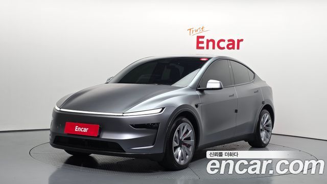 Tesla Model Y Long Range Launch Edition AWD - фото 0