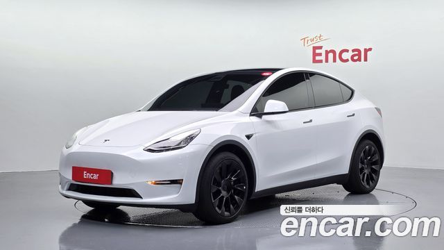 Tesla Model Y Long Range AWD - фото 0