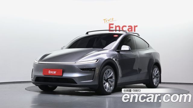 Tesla Model Y Long Range Launch Edition AWD - фото 0