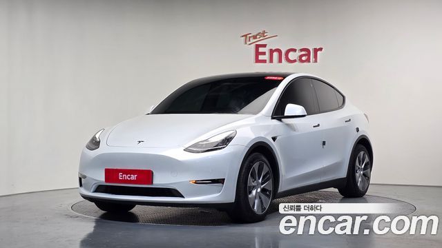 Tesla Model Y Long Range AWD - фото 0