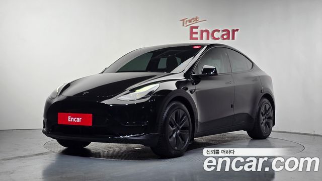 Tesla Model Y Long Range AWD - фото 0