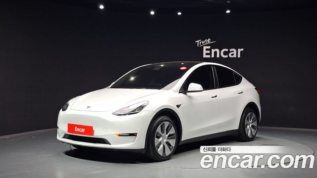 Tesla Model Y Long Range AWD - фото 0