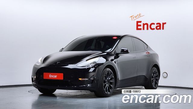 Tesla Model Y Long Range AWD - фото 0